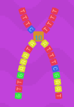 DNA Helix Structure Explained